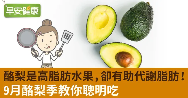 酪梨是高脂肪水果，卻有助代謝脂肪！9月酪梨季教你聰明吃