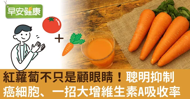 紅蘿蔔不只是顧眼睛！聰明抑制癌細胞、一招大增維生素A吸收率