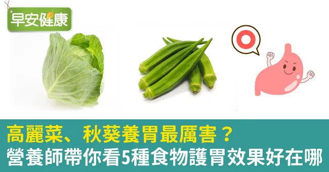 高麗菜、秋葵養胃最厲害？營養師帶你看5種食物護胃效果好在哪