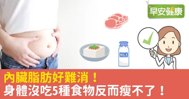 內臟脂肪好難消！身體沒吃5種食物反而瘦不了！