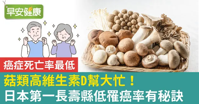 菇類高維生素D幫大忙！日本第一長壽縣低罹癌率有秘訣