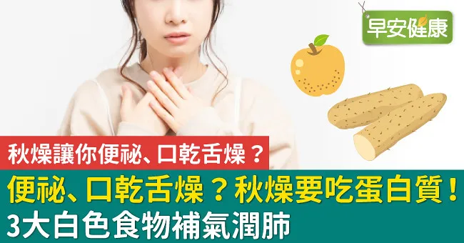 便祕、口乾舌燥？秋燥要吃蛋白質！3大白色食物補氣潤肺