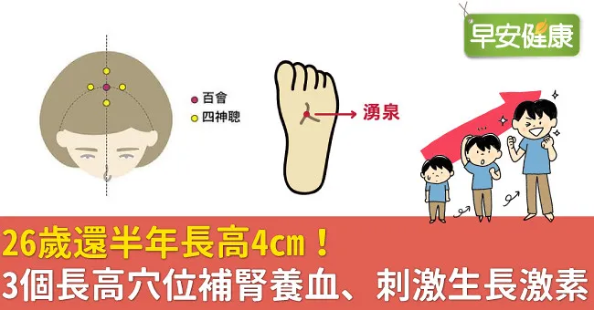 26歲還半年長高4cm！3個長高穴位補腎養血、刺激生長激素