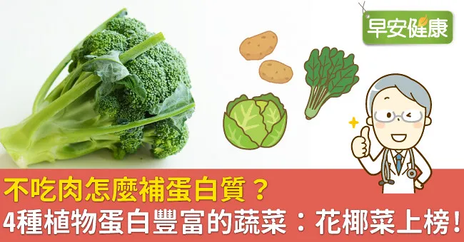 不吃肉怎麼補蛋白質？4種植物蛋白豐富的蔬菜：花椰菜上榜！
