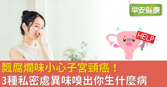 飄腐爛味小心子宮頸癌！3種私密處異味嗅出你生什麼病