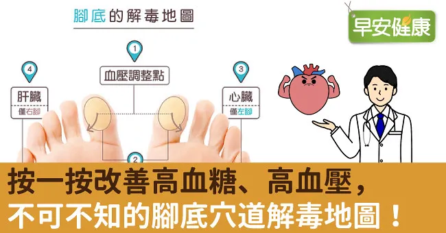 按一按改善高血糖、高血壓，不可不知的腳底穴道解毒地圖！