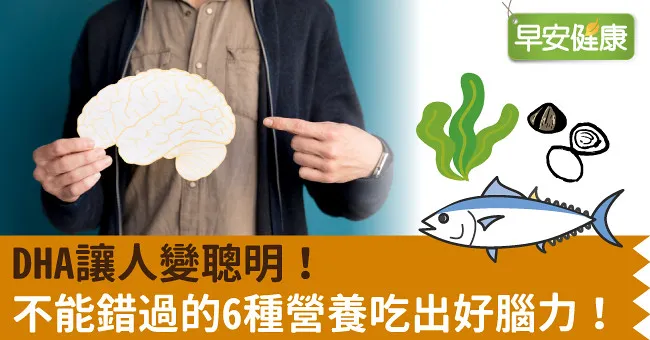 懷孕吃什麼，寶寶更聰明？6種營養幫助嬰兒腦部發育，吃出好腦力！