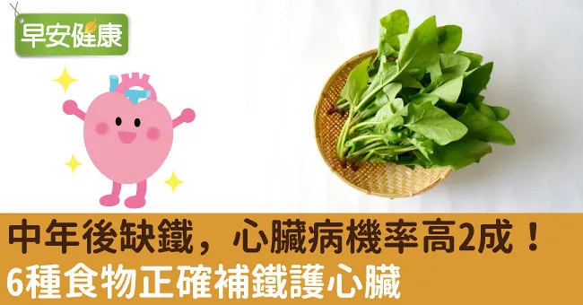 中年後缺鐵，心臟病機率高2成！6種食物正確補鐵護心臟