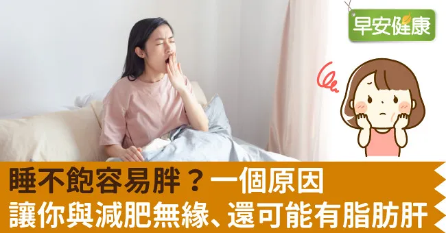 睡不飽容易胖？一個原因讓你與減肥無緣、還可能有脂肪肝