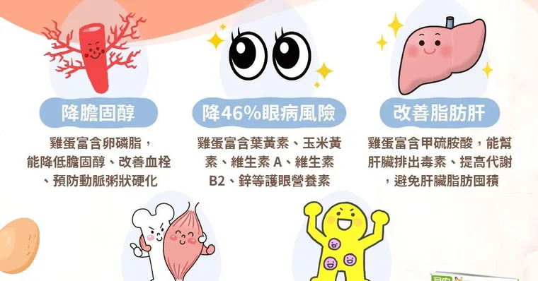降膽固醇！一天一顆蛋5大神奇功效，正式揮別「蛋蛋的哀愁」