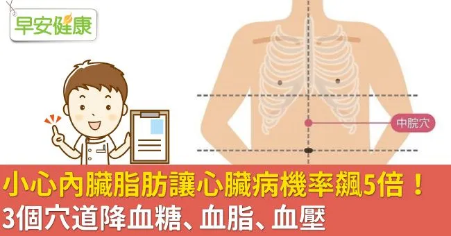小心內臟脂肪讓心臟病機率飆5倍！3個穴道降血糖、血脂、血壓