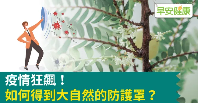 疫情狂飆！如何得到大自然的防護罩？