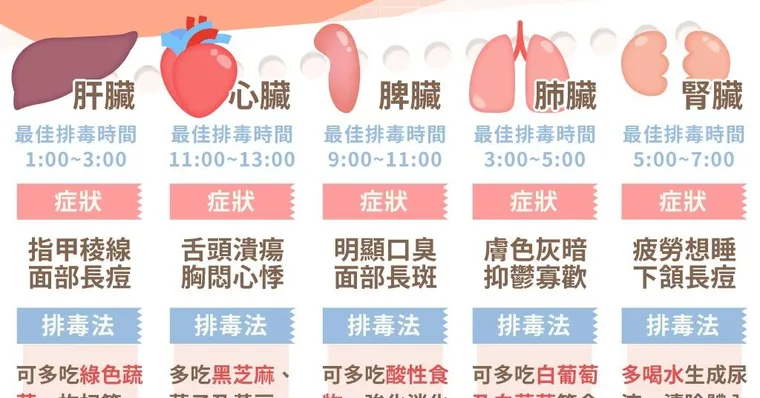睡不好小心是毒素太多！五臟排毒保養指南幫身體大掃除