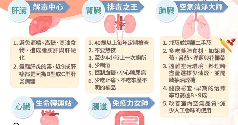 身體內建5位排毒大師！這樣淨空毒素，就是在遠離癌症威脅