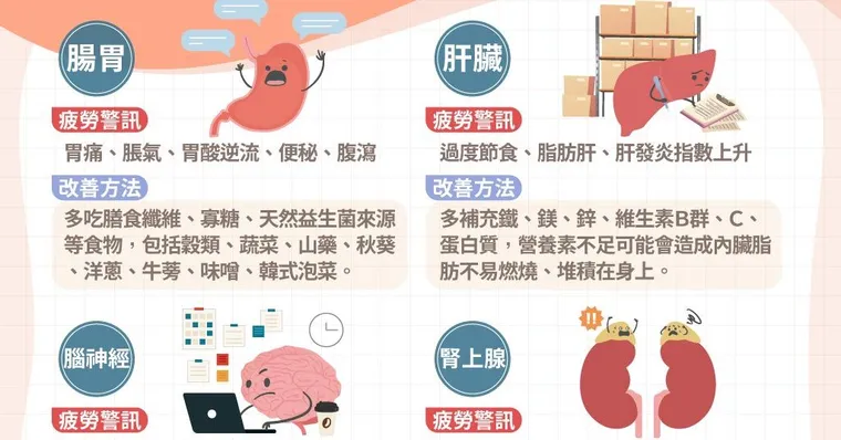 90％民眾疲勞中！內臟疲勞不改善癌症跟著來，4大求救訊號告訴你如何修復