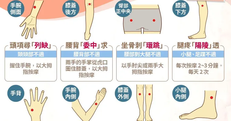 一個口訣學會8個緩解疼痛特效穴道！頭痛、背痛速速解救