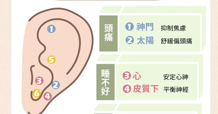 耳朵有解痛神奇穴位！按壓6大「耳穴」頭痛、失眠、脹氣都改善
