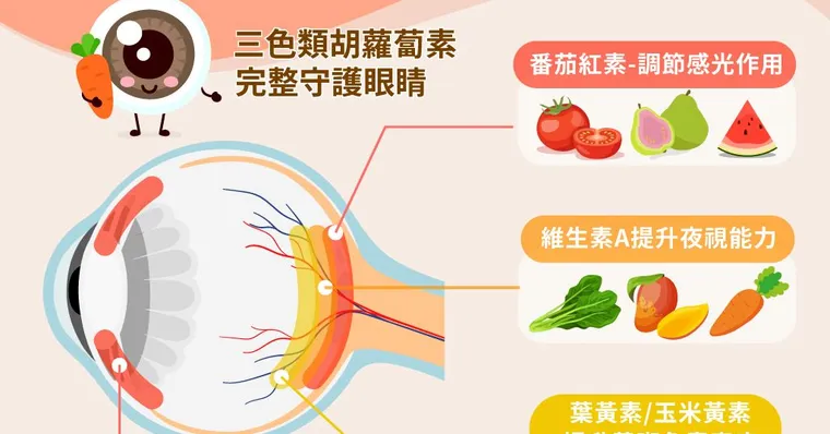 逾8成民眾用眼錯誤？眼球老化的速度比你想像中的快！