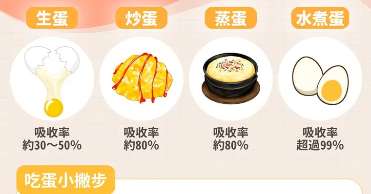雞蛋怎麼吃最營養？吸收率99％第一名吃法公開