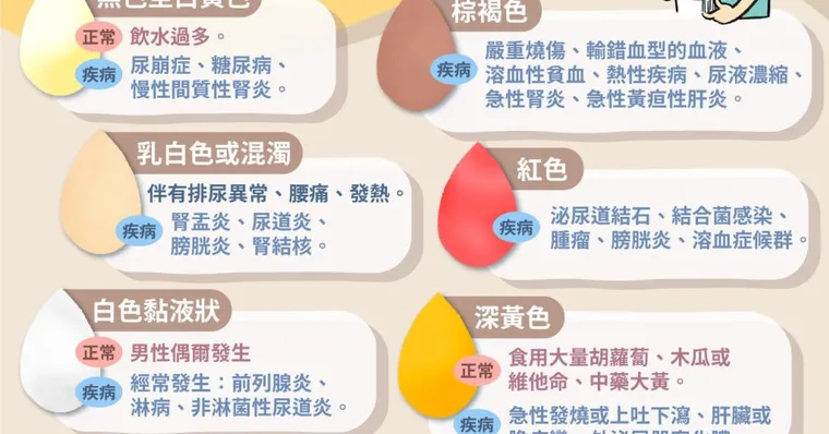 尿尿顏色淡＝水喝越多越健康？當心3疾病前兆！從8種尿液顏色看警訊