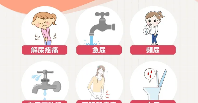 膀胱炎會自己好嗎？尿尿灼痛看哪科、自我檢測與抗生素用藥關鍵