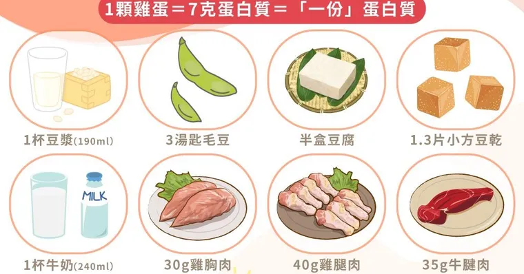 蛋白質食物清單攻略！蛋白質攝取量過多/不足怎麼計算？必存動植物性蛋白質食材推薦表！