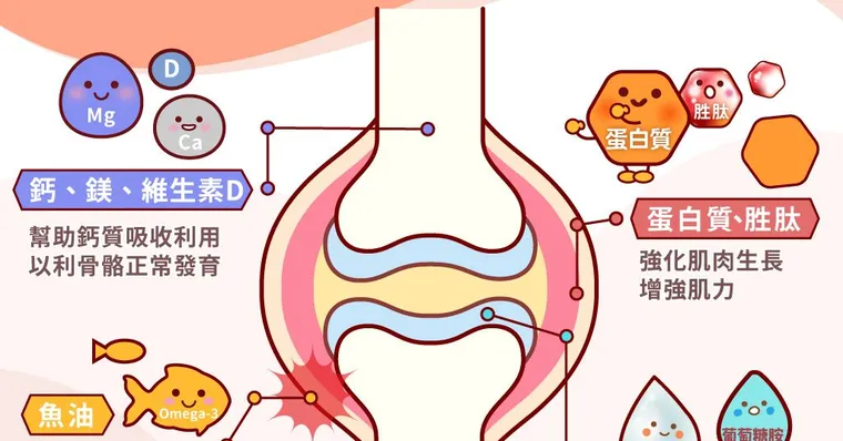 才４０歲關節痛已找上門？把握黃金保養期，繼續自由走跳不卡關