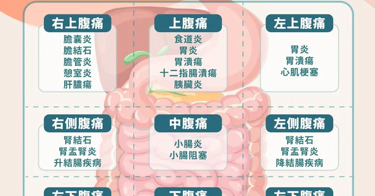 胃痛怎麼辦？3個快速緩解胃痛姿勢與天然護胃飲食指南