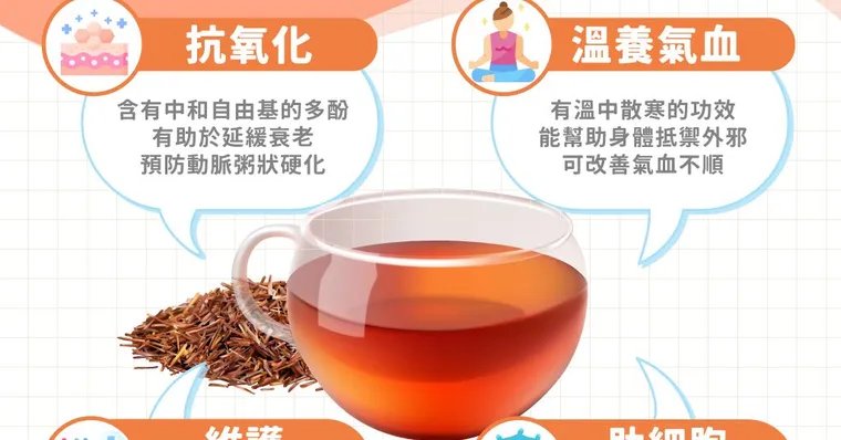 傷腎傷肝？零熱量又無咖啡因？中西醫親揭南非國寶茶（博士茶）禁忌缺點與功效