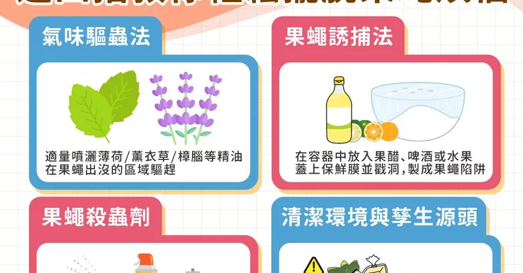 果蠅怎麼消滅？果蠅怕什麼味道與3招DIY誘餌陷阱教學