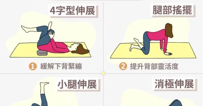 專剋下背痛的罪魁禍首！4招伸展鬆腿筋、自主緩解下背痛！
