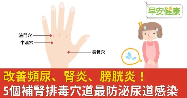 改善頻尿、腎炎、膀胱炎！5個補腎排毒穴道最防泌尿道感染