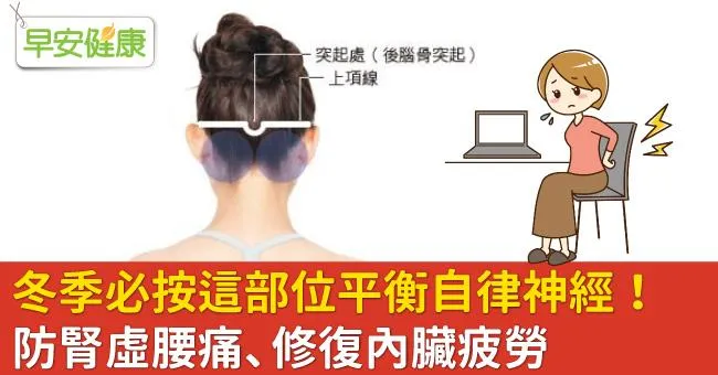 冬季必按這部位平衡自律神經！防腎虛腰痛、修復內臟疲勞