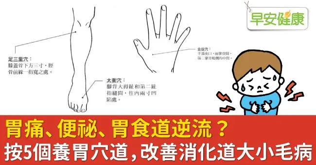 胃痛、便祕、胃食道逆流？按5個養胃穴道，改善消化道大小毛病