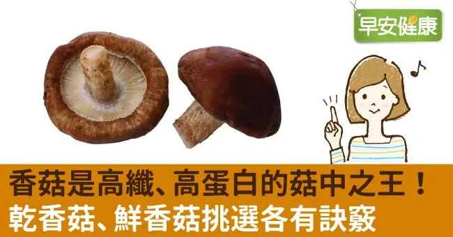 香菇是高纖、高蛋白的菇中之王！乾香菇、鮮香菇挑選各有訣竅