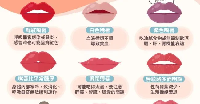 肝腎機能衰弱、消化器官出問題…從8種嘴唇狀態看健康