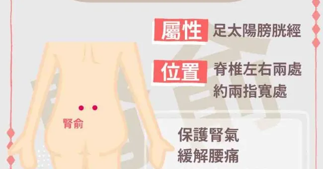 冬天勤按「腎俞穴」養腎4功效，涵養腎氣、開啟身體的暖氣！