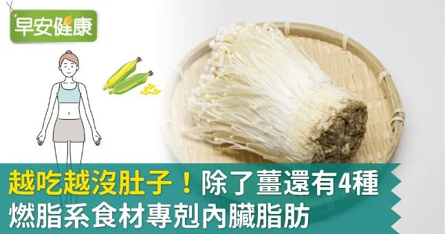 越吃越沒肚子！除了薑還有4種燃脂系食材專剋內臟脂肪