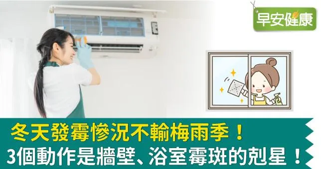冬天發霉慘況不輸梅雨季！3個動作是牆壁、浴室霉斑的剋星！