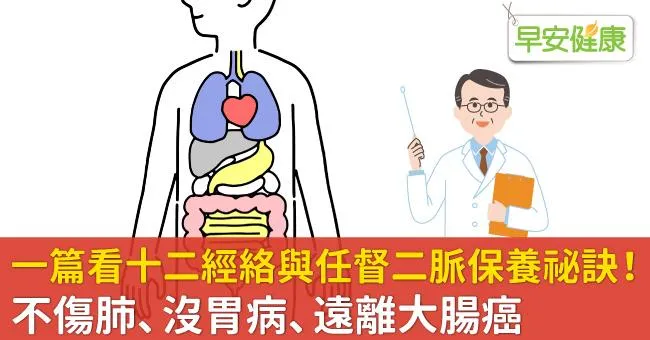 一篇看十二經絡與任督二脈保養祕訣！不傷肺、沒胃病、遠離大腸癌