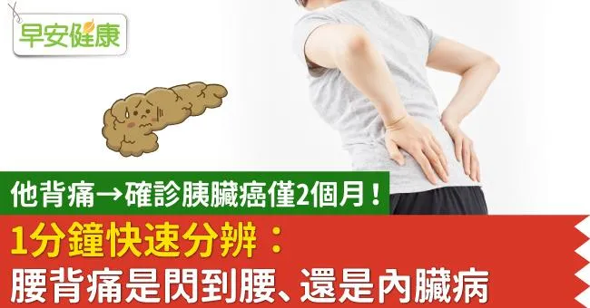 他背痛→確診胰臟癌僅2個月！1分鐘快速分辨：腰背痛是閃到腰、還是內臟病