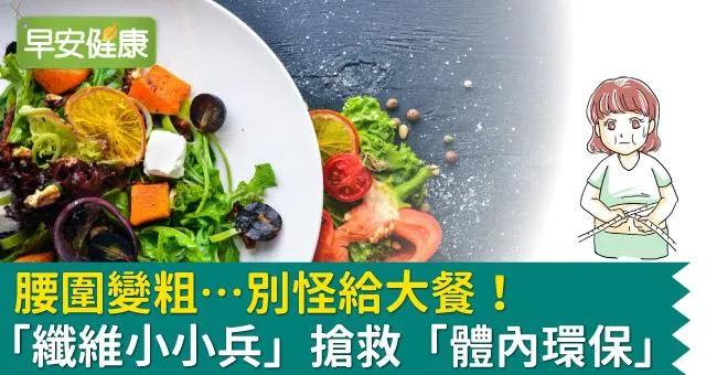 腰圍變粗…別怪給大餐！「纖維小小兵」搶救體內環保