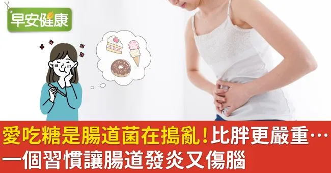 愛吃糖是腸道菌在搗亂！比胖更嚴重…一個習慣讓腸道發炎又傷腦