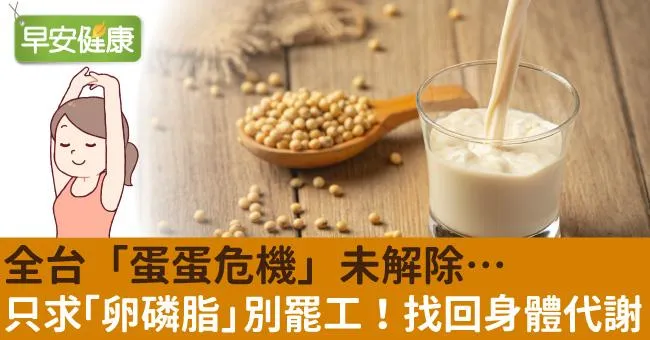 「蛋荒危機」，只求「卵磷脂」別罷工！找回身體代謝原動力