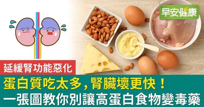 蛋白質吃太多，腎臟壞更快！一張圖教你別讓高蛋白食物變毒藥
