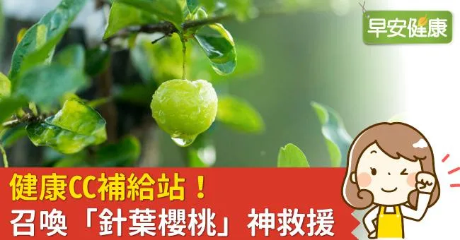 健康CC補給站！召喚「針葉櫻桃」神救援
