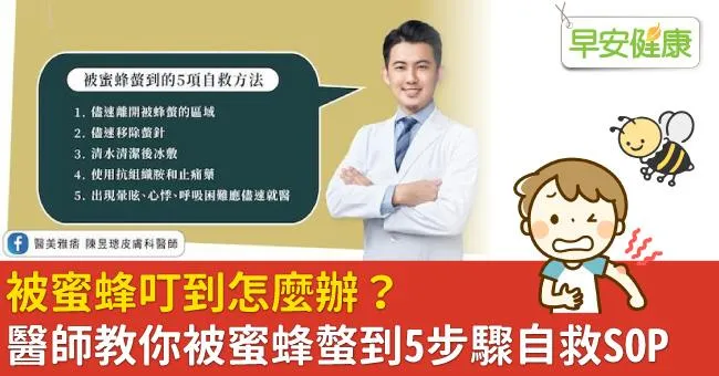 被蜜蜂叮到怎麼辦？醫師教你被蜜蜂螫到5步驟自救SOP