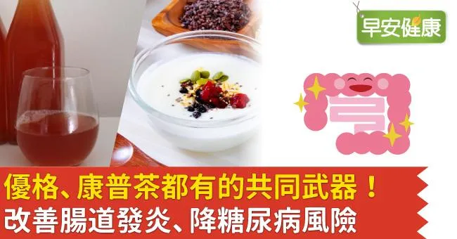 優格、康普茶都有的共同武器！改善腸道發炎、降糖尿病風險