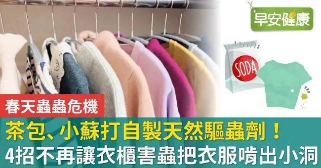 茶包、小蘇打自製天然驅蟲劑！4招不再讓衣櫃害蟲把衣服啃出小洞