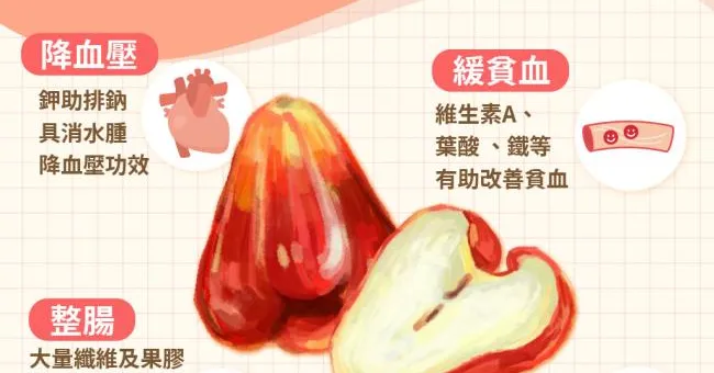 蓮霧是水果皇帝！4大功效有助抗氧化、減少脂肪吸收